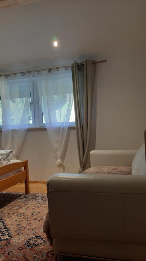 Traumhafte Ferienwohnung Mit Pool Steinen  外观 照片
